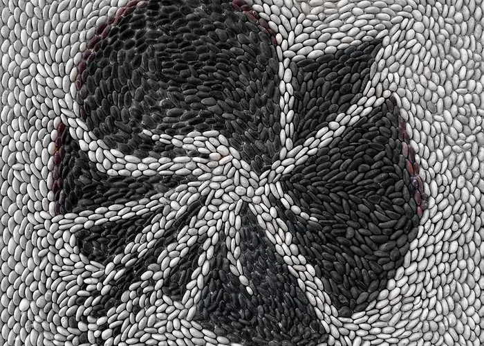 Rhodes Island View *