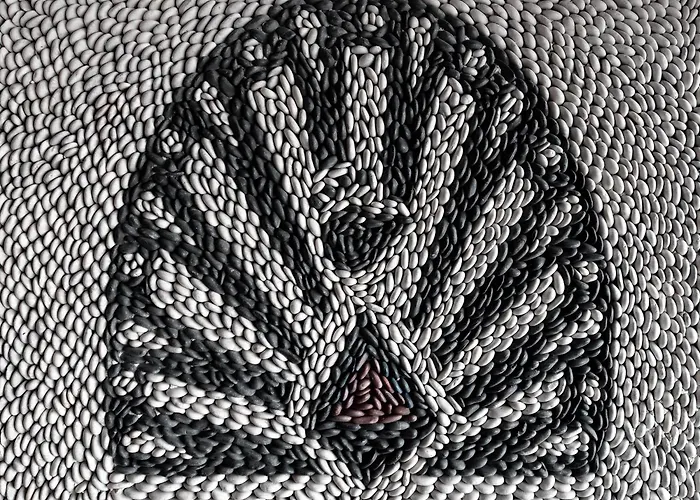 Rhodes Island View * إكْسِيا