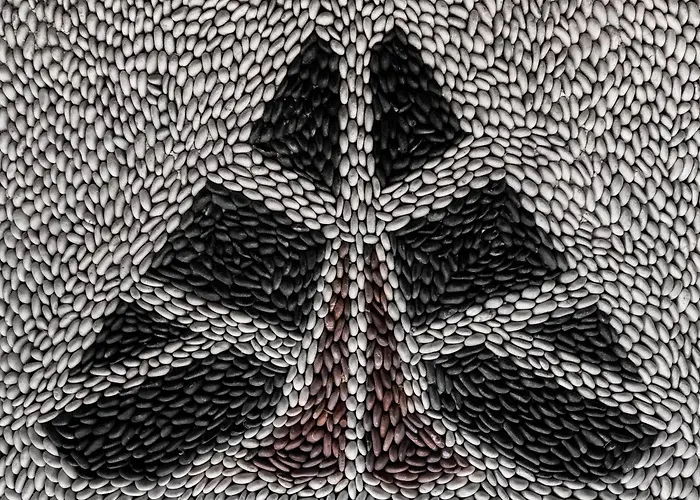 فيلة Rhodes Island View